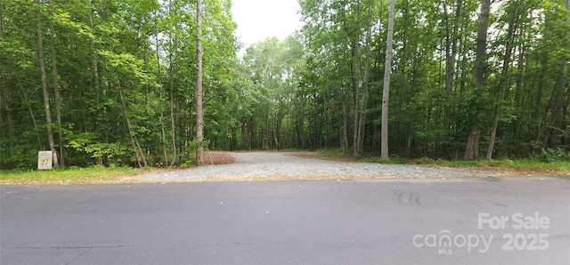 LOT27 S Cross Creek Trl Unit 27, Mill Spring, NC 28756
