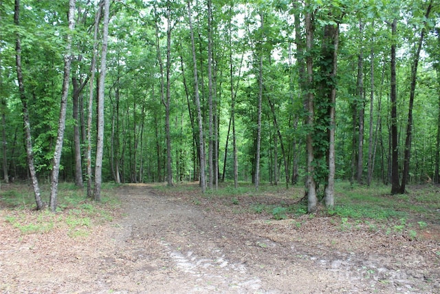 LOT27 S Cross Creek Trl Unit 27, Mill Spring, NC 28756