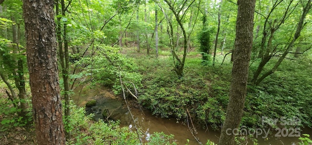 LOT27 S Cross Creek Trl Unit 27, Mill Spring, NC 28756