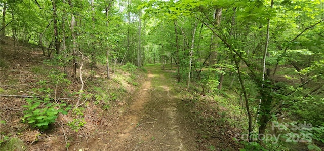 LOT27 S Cross Creek Trl Unit 27, Mill Spring, NC 28756