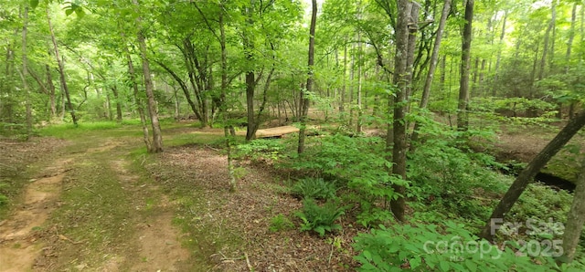 LOT27 S Cross Creek Trl Unit 27, Mill Spring, NC 28756
