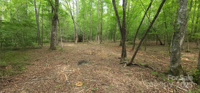 LOT27 S Cross Creek Trl Unit 27, Mill Spring, NC 28756