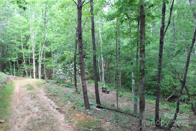 LOT27 S Cross Creek Trl Unit 27, Mill Spring, NC 28756