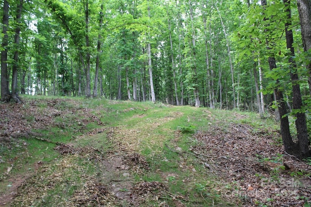 LOT27 S Cross Creek Trl Unit 27, Mill Spring, NC 28756