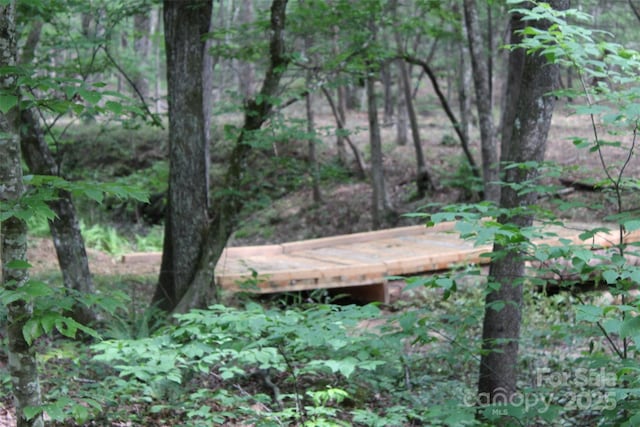 LOT27 S Cross Creek Trl Unit 27, Mill Spring, NC 28756