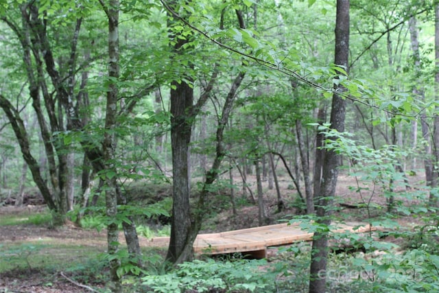 LOT27 S Cross Creek Trl Unit 27, Mill Spring, NC 28756