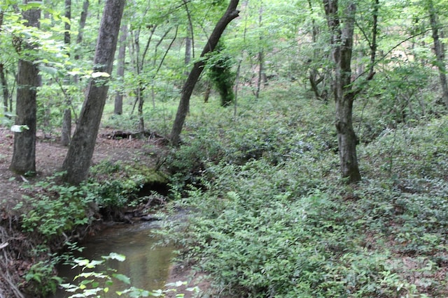 LOT27 S Cross Creek Trl Unit 27, Mill Spring, NC 28756