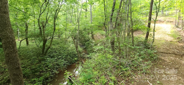 LOT27 S Cross Creek Trl Unit 27, Mill Spring, NC 28756
