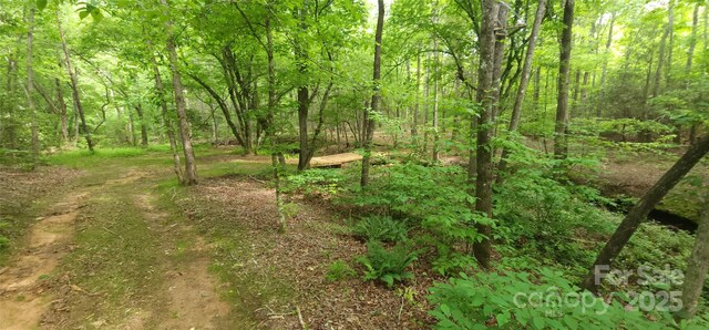 LOT27 S Cross Creek Trl Unit 27, Mill Spring, NC 28756