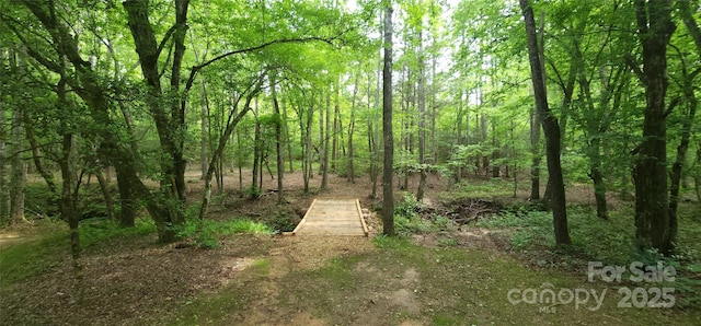 LOT27 S Cross Creek Trl Unit 27, Mill Spring, NC 28756