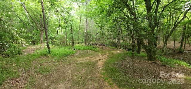 LOT27 S Cross Creek Trl Unit 27, Mill Spring, NC 28756