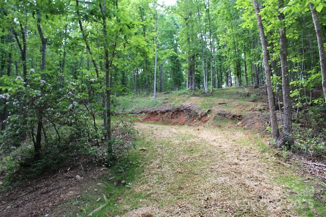LOT27 S Cross Creek Trl Unit 27, Mill Spring, NC 28756