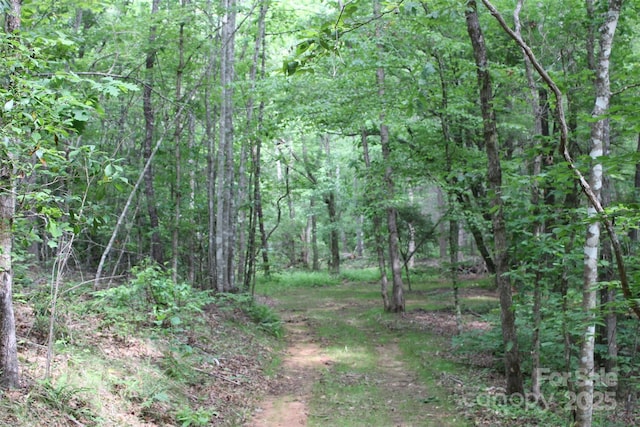 LOT27 S Cross Creek Trl Unit 27, Mill Spring, NC 28756