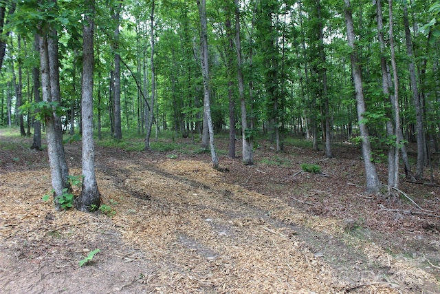 LOT27 S Cross Creek Trl Unit 27, Mill Spring, NC 28756