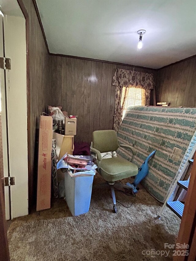 611 Johnson Hollow Rd, Bakersville, NC 28705 - photo 6