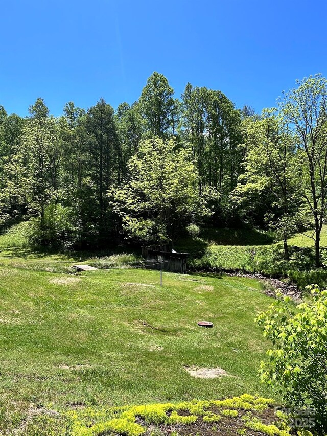 611 Johnson Hollow Rd, Bakersville, NC 28705 - photo 18