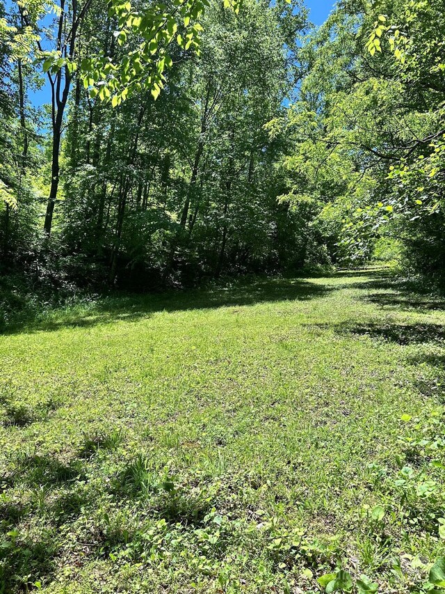 611 Johnson Hollow Rd, Bakersville, NC 28705 - photo 23