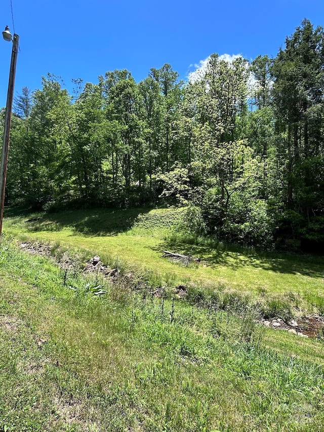611 Johnson Hollow Rd, Bakersville, NC 28705 - photo 36