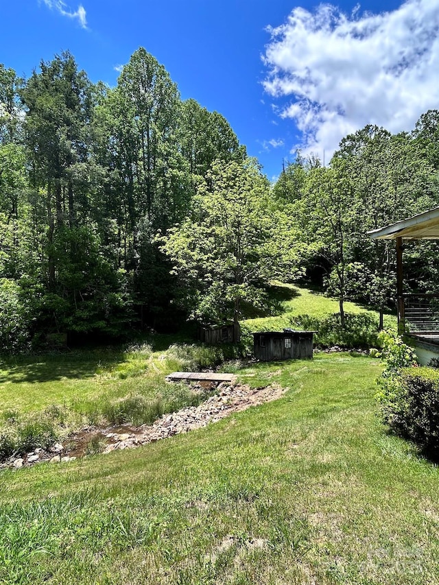 611 Johnson Hollow Rd, Bakersville, NC 28705 - photo 37