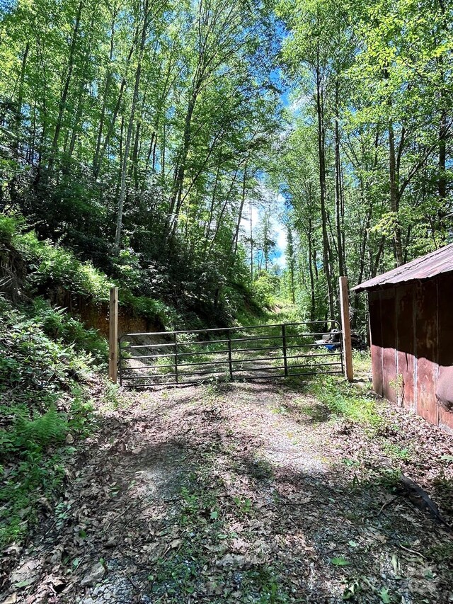 611 Johnson Hollow Rd, Bakersville, NC 28705 - photo 38