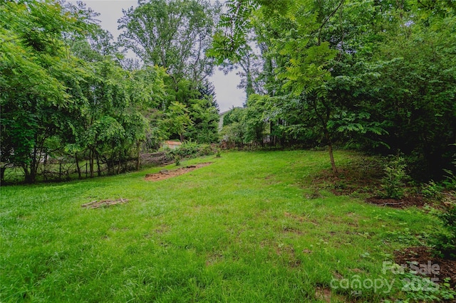 13 Park Lane Ave, Asheville, NC 28806 - photo 21