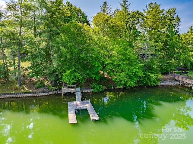 333 Lentz Landing Ln, Nebo, NC 28761 - dock featuring a water view