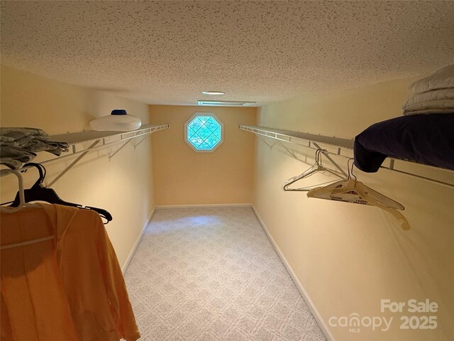 333 Lentz Landing Ln, Nebo, NC 28761 - walk in closet with light colored carpet