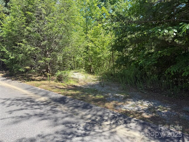 333 Lentz Landing Ln, Nebo, NC 28761 - view of asphalt road with a forest view