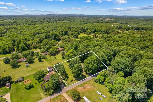 141 Dunlap Loop, Statesville, NC 28625 - view of property location featuring a heavily wooded area and property parcel outlined