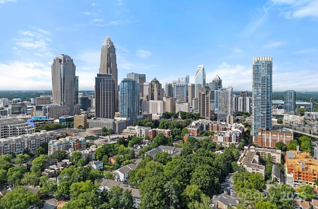 409 W 8th St Unit B, Charlotte, NC 28202 - view of city skyline