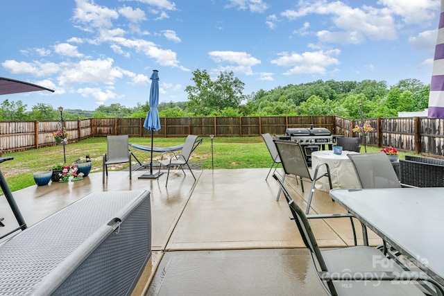189 Fesperman Cir, Troutman, NC 28166 - fenced backyard with outdoor dining area and a patio area