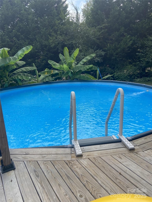 240 China Grove Rd, China Grove, NC 28123 - swimming pool with view of scattered trees