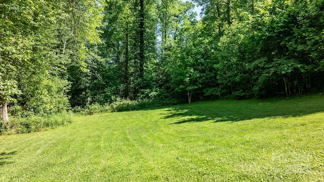 5366 Hayes Waters Rd, Morganton, NC 28655 - view of green lawn featuring a forest view