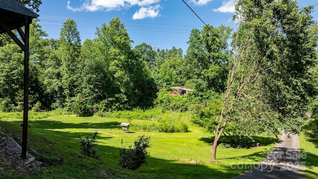 5366 Hayes Waters Rd, Morganton, NC 28655 - view of home's community with a lawn