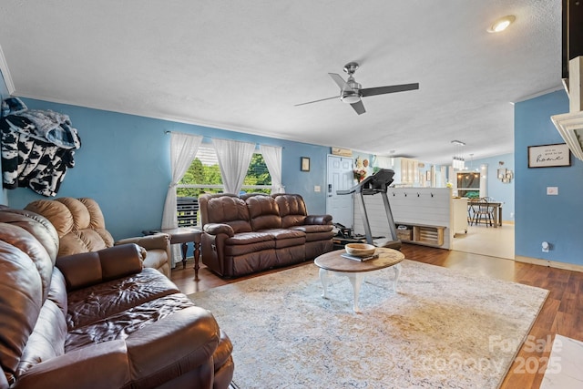 5366 Hayes Waters Rd, Morganton, NC 28655 - living room featuring a ceiling fan, wood finished floors, ornamental molding, and a textured ceiling