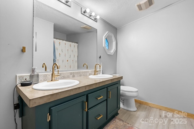 5366 Hayes Waters Rd, Morganton, NC 28655 - bathroom featuring wood finished floors, double vanity, toilet, a textured ceiling, and baseboards