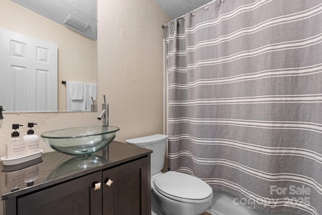 5366 Hayes Waters Rd, Morganton, NC 28655 - full bath featuring a textured ceiling, vanity, toilet, and a shower with curtain