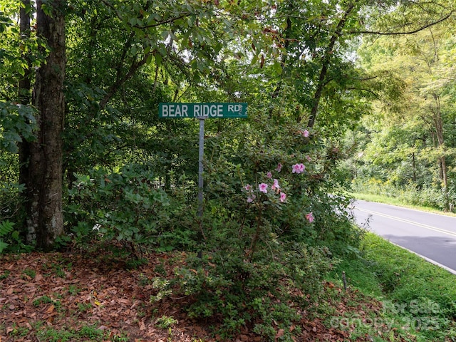 198 Bear Ridge Rd, Bakersville, NC 28705 - exterior view of a heavily wooded area