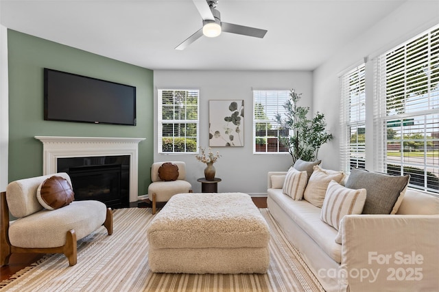 10027 Juniper Trace Dr, Charlotte, NC 28277 - living room with ceiling fan, wood finished floors, and baseboards