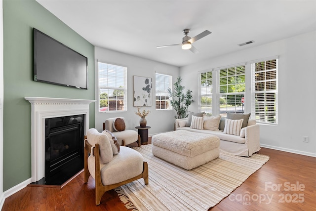 10027 Juniper Trace Dr, Charlotte, NC 28277 - living room with a ceiling fan, wood finished floors, baseboards, and a glass covered fireplace