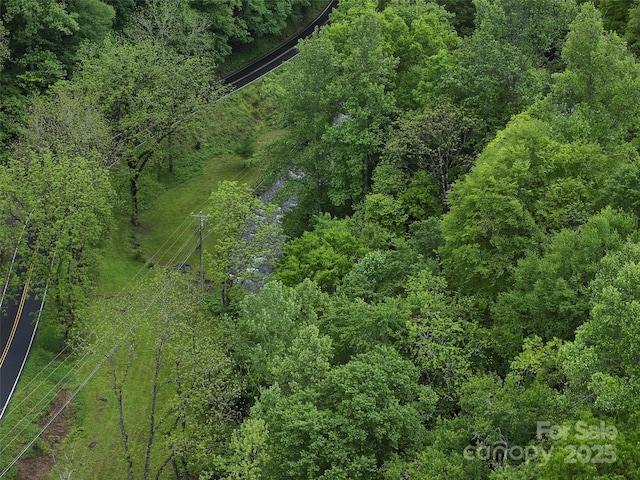 210 Conleys Creek Rd, Whittier, NC 28789