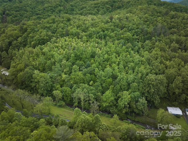 210 Conleys Creek Rd, Whittier, NC 28789