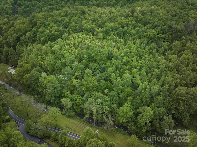 210 Conleys Creek Rd, Whittier, NC 28789