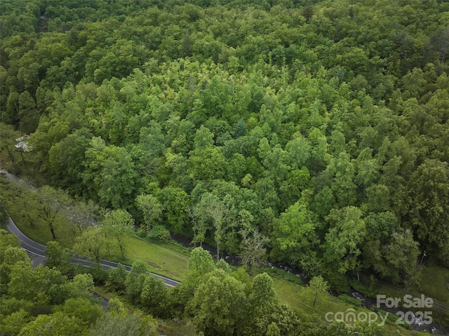 210 Conleys Creek Rd, Whittier, NC 28789