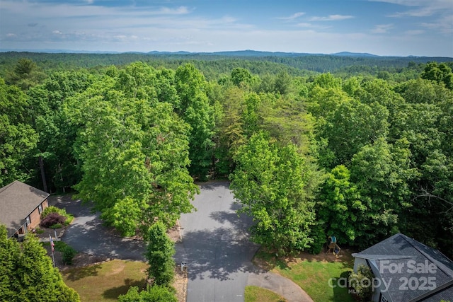 1419 Ivy Ln NW, Valdese, NC 28690