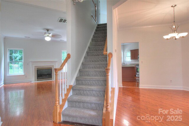 6310 Trevor Simpson Dr, Indian Trail, NC 28079 - stairs featuring wood finished floors, ornamental molding, plenty of natural light, baseboards, and a premium fireplace