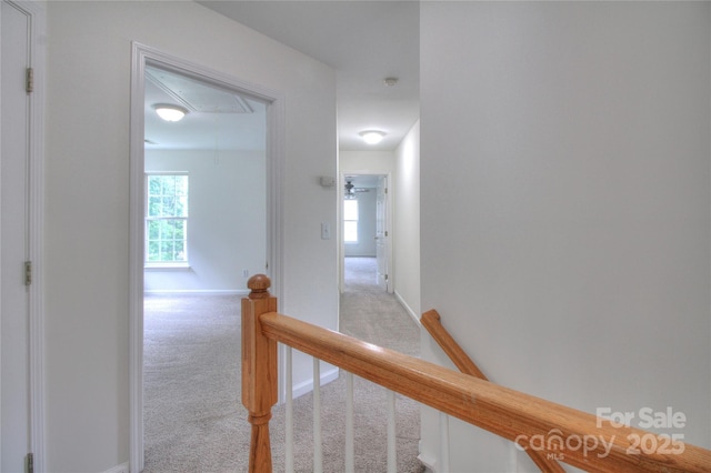 6310 Trevor Simpson Dr, Indian Trail, NC 28079 - hall with attic access, carpet floors, an upstairs landing, and healthy amount of natural light