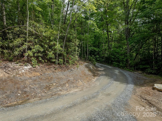 99999 Bulling Creek Rd, Penrose, NC 28739 - photo 2