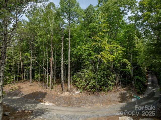 99999 Bulling Creek Rd, Penrose, NC 28739 - photo 3