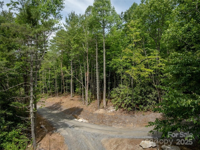 99999 Bulling Creek Rd, Penrose, NC 28739 - photo 4